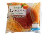 夏みかん小町 【期間限定】
