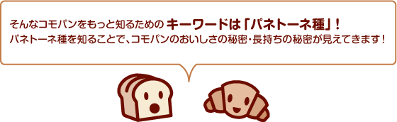 そんなコモパンをもっと知るためのキーワードは「パネトーネ種」！パネトーネ種を知ることで、コモパンのおいしさの秘密・長持ちの秘密が見えてきます！