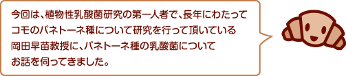 今回は、植物性乳酸菌研究の第一人者で、長年にわたってコモのパネトーネ種について研究を行って頂いている岡田早苗教授に、パネトーネ種の乳酸菌についてお話を伺ってきました。