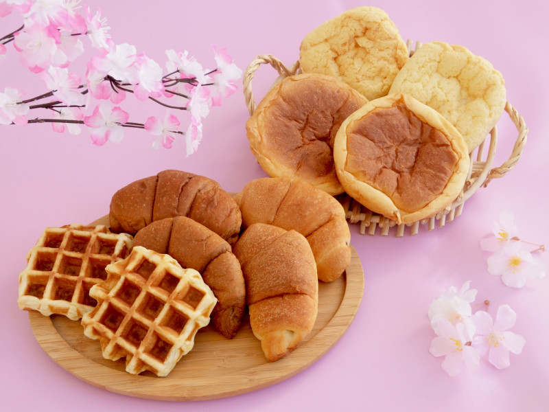 春のコモパンプチギフト【期間限定】