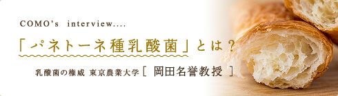 「パネトーネ種乳酸菌」とは？