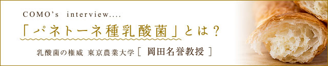 「パネトーネ種乳酸菌」とは？