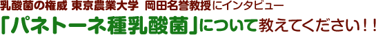 東京農業大学　岡田名誉教授にインタビュー　「パネトーネ種乳酸菌」について教えてください!!